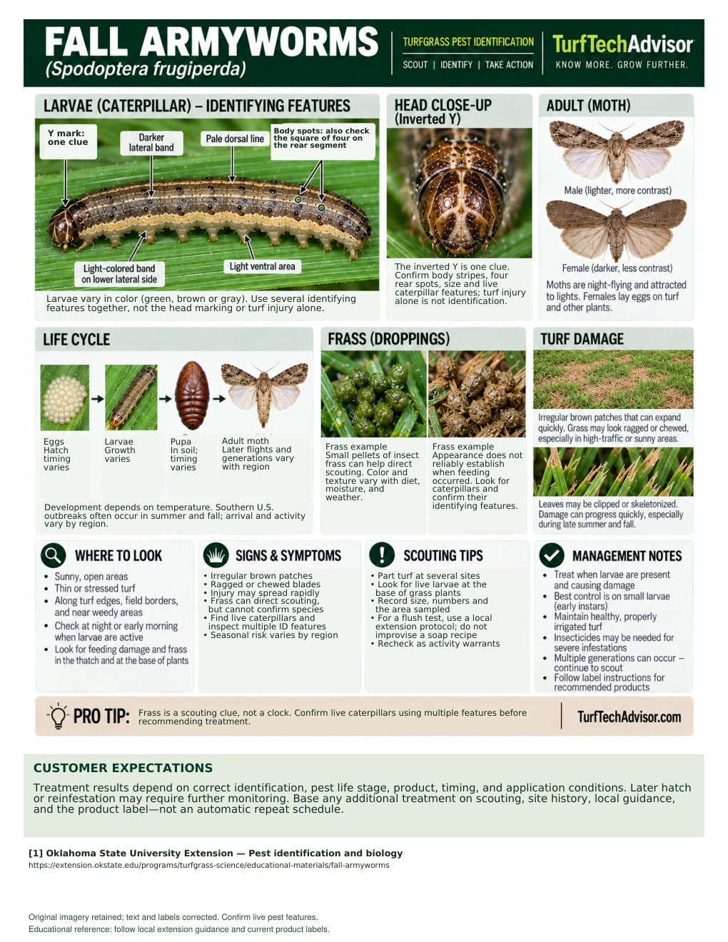 Preview of the TurfTechAdvisor Fall Armyworm field guide with identification images and scouting information.