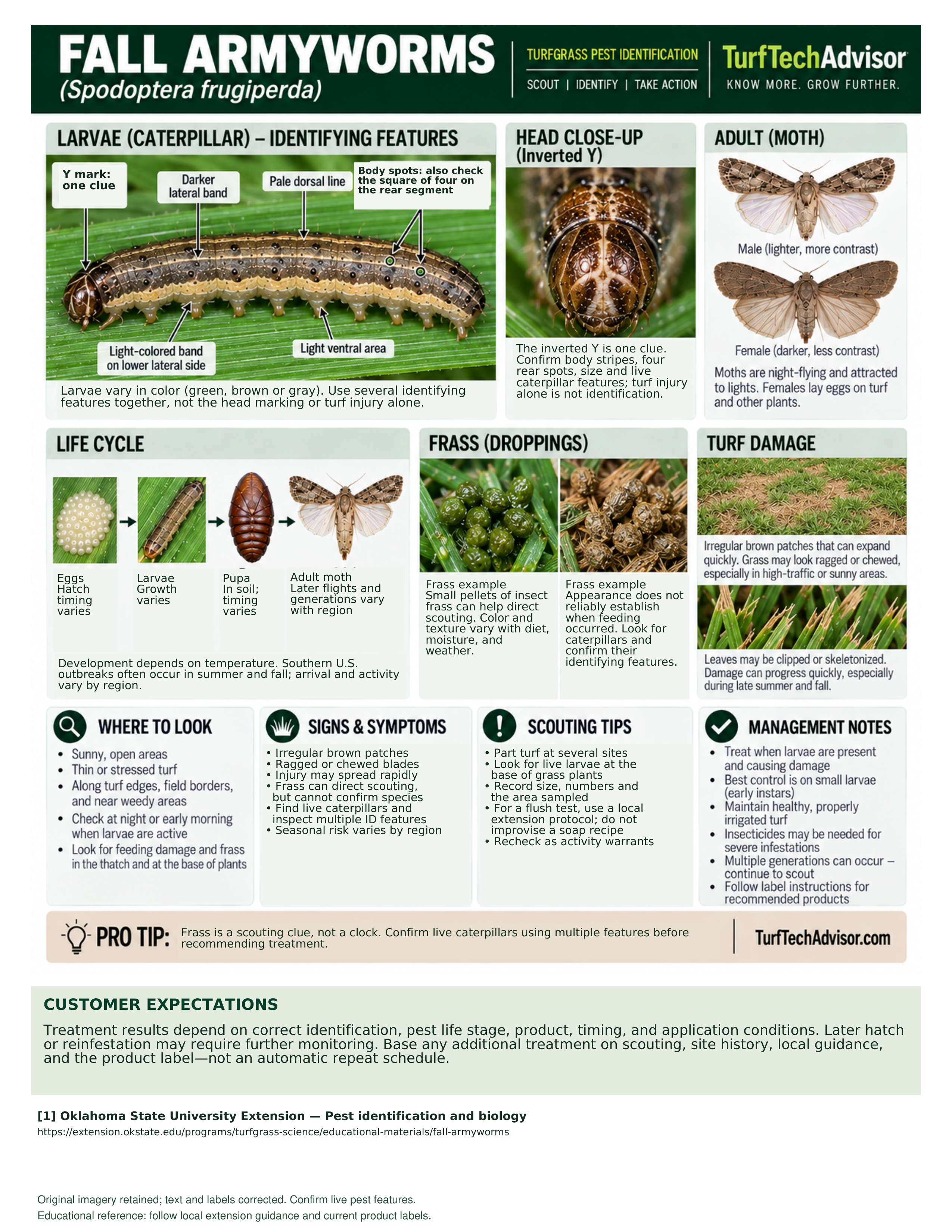 Preview of the TurfTechAdvisor Fall Armyworm field guide with identification images and scouting information.