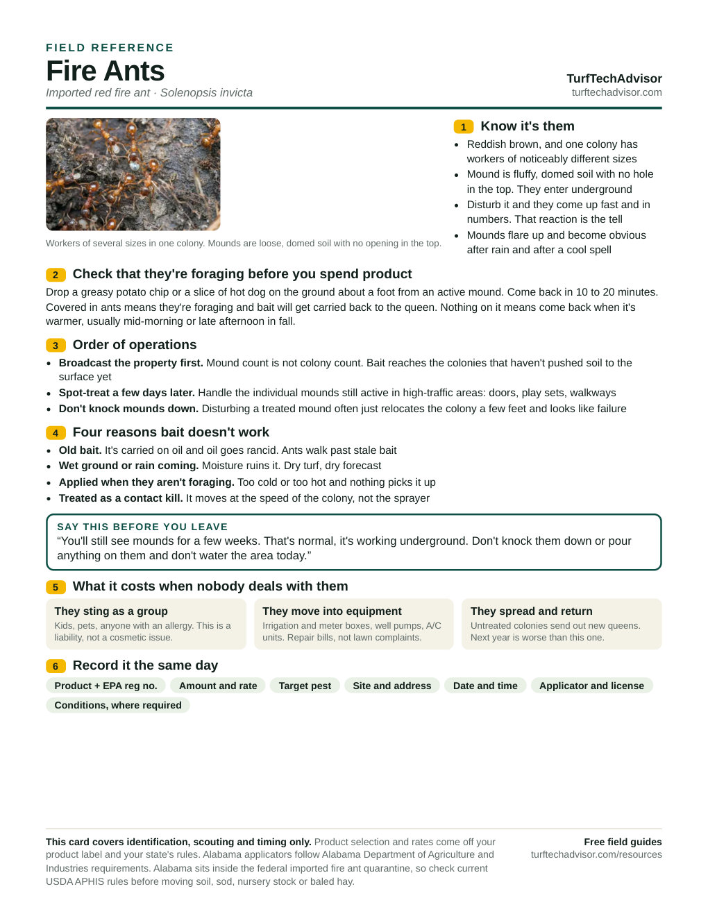 TurfTechAdvisor Fire Ants field reference showing identification photos, foraging checks, bait timing, and customer treatment expectations.