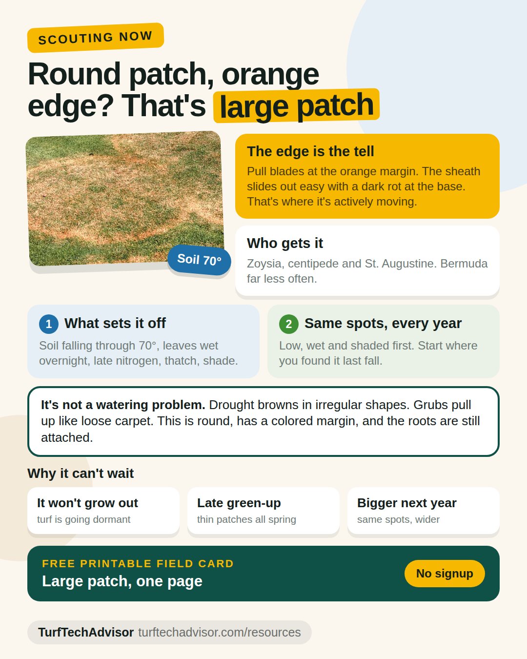 TurfTechAdvisor Large Patch field guide showing circular patches with an orange margin, fall scouting, disease triggers and customer expectations.