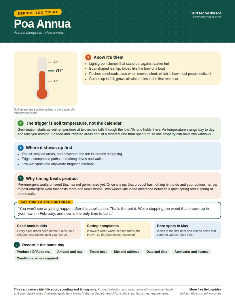 Preview of the TurfTechAdvisor Poa Annua timing guide with soil-temperature timing, scouting notes, and a customer explanation.