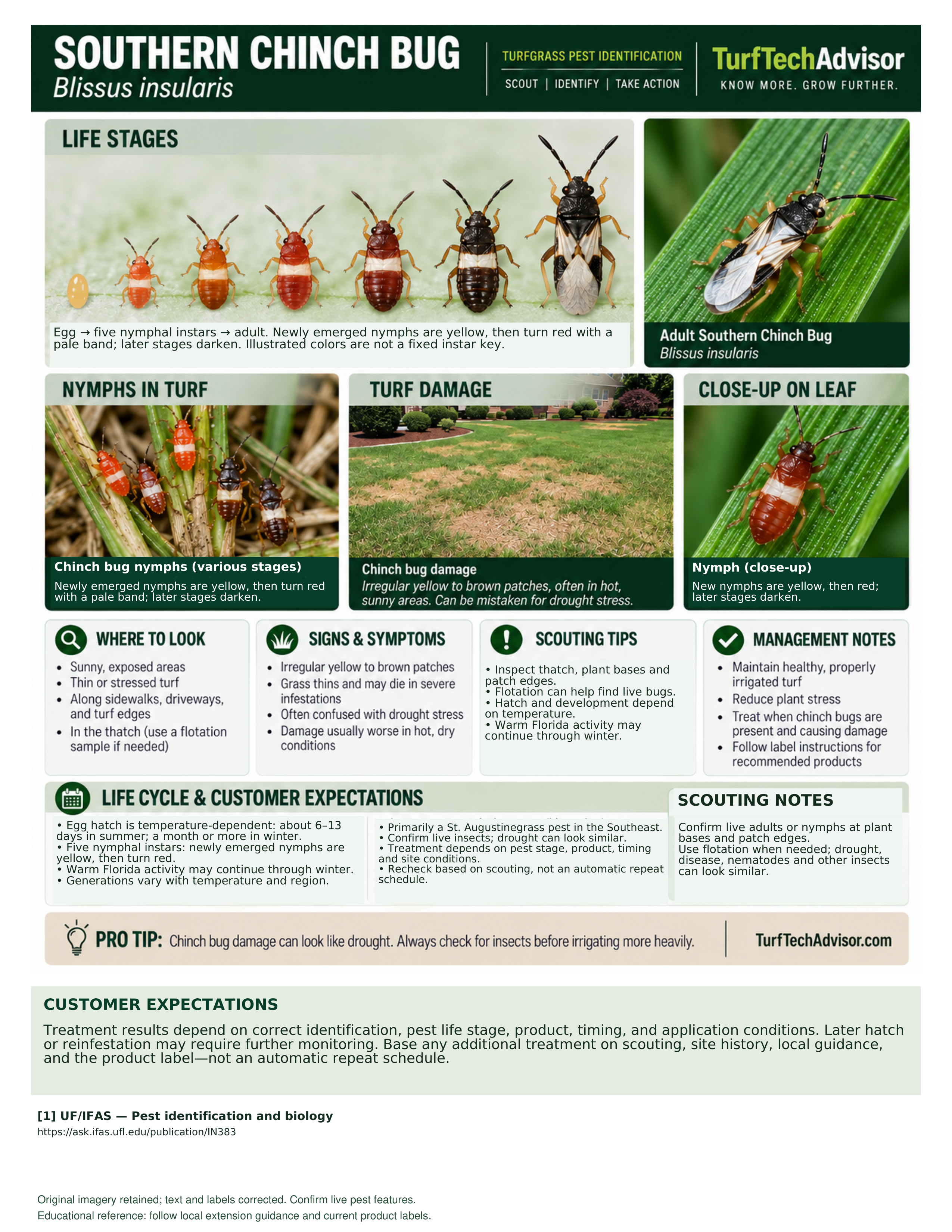 Preview of the TurfTechAdvisor Southern Chinch Bug field guide with identification photos and scouting information.