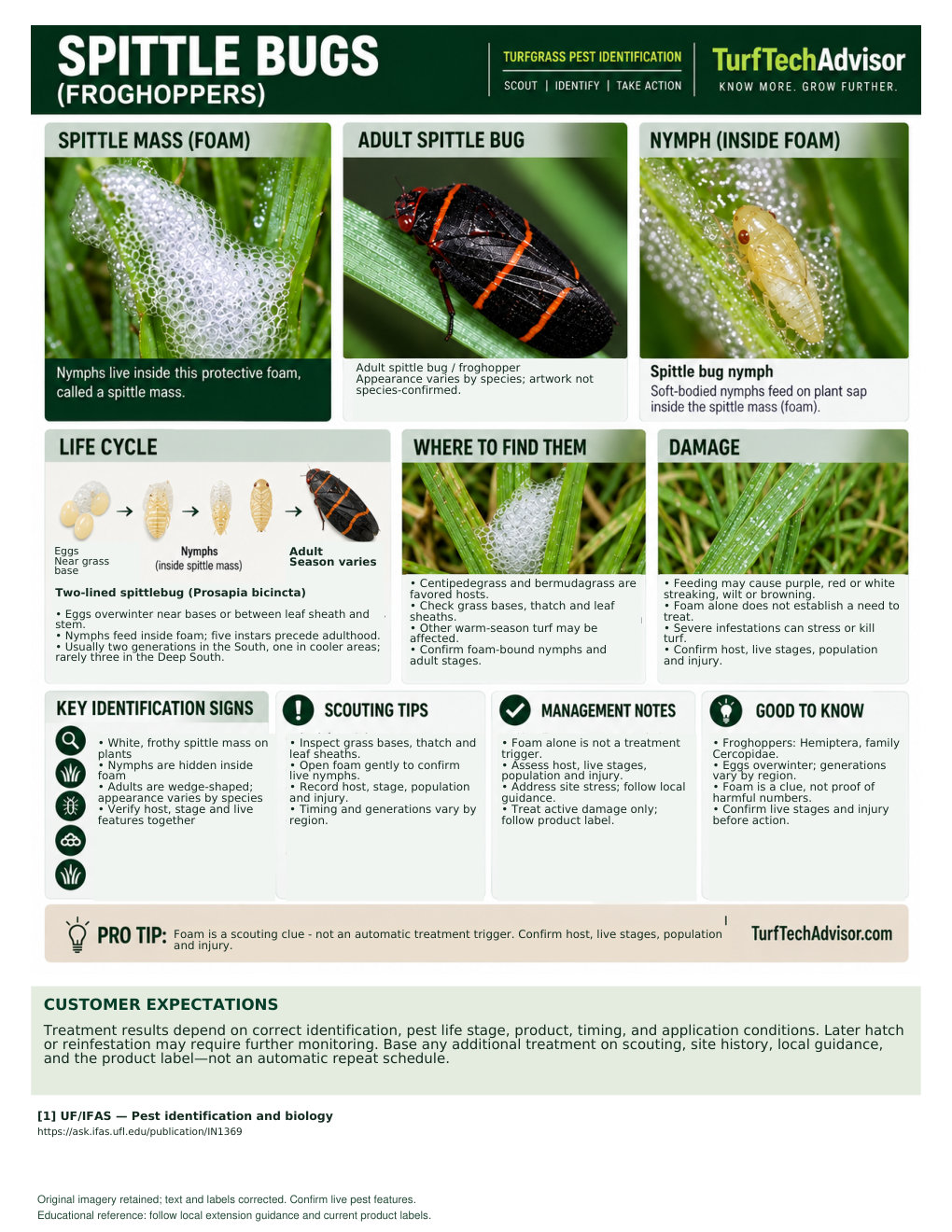 Preview of the TurfTechAdvisor Spittle Bug field guide with pest identification photos and field notes.