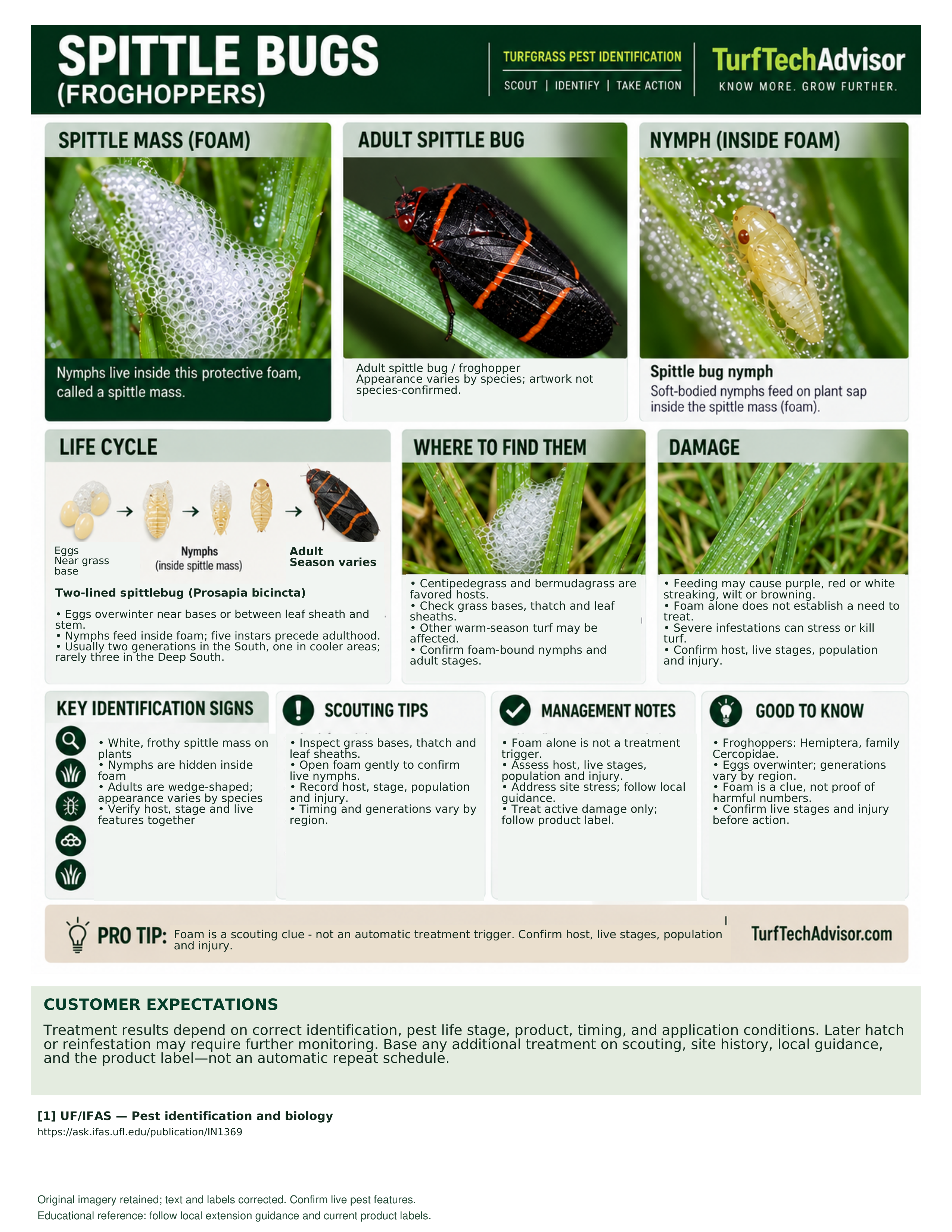 Preview of the TurfTechAdvisor Spittle Bug field guide with pest identification photos and field notes.
