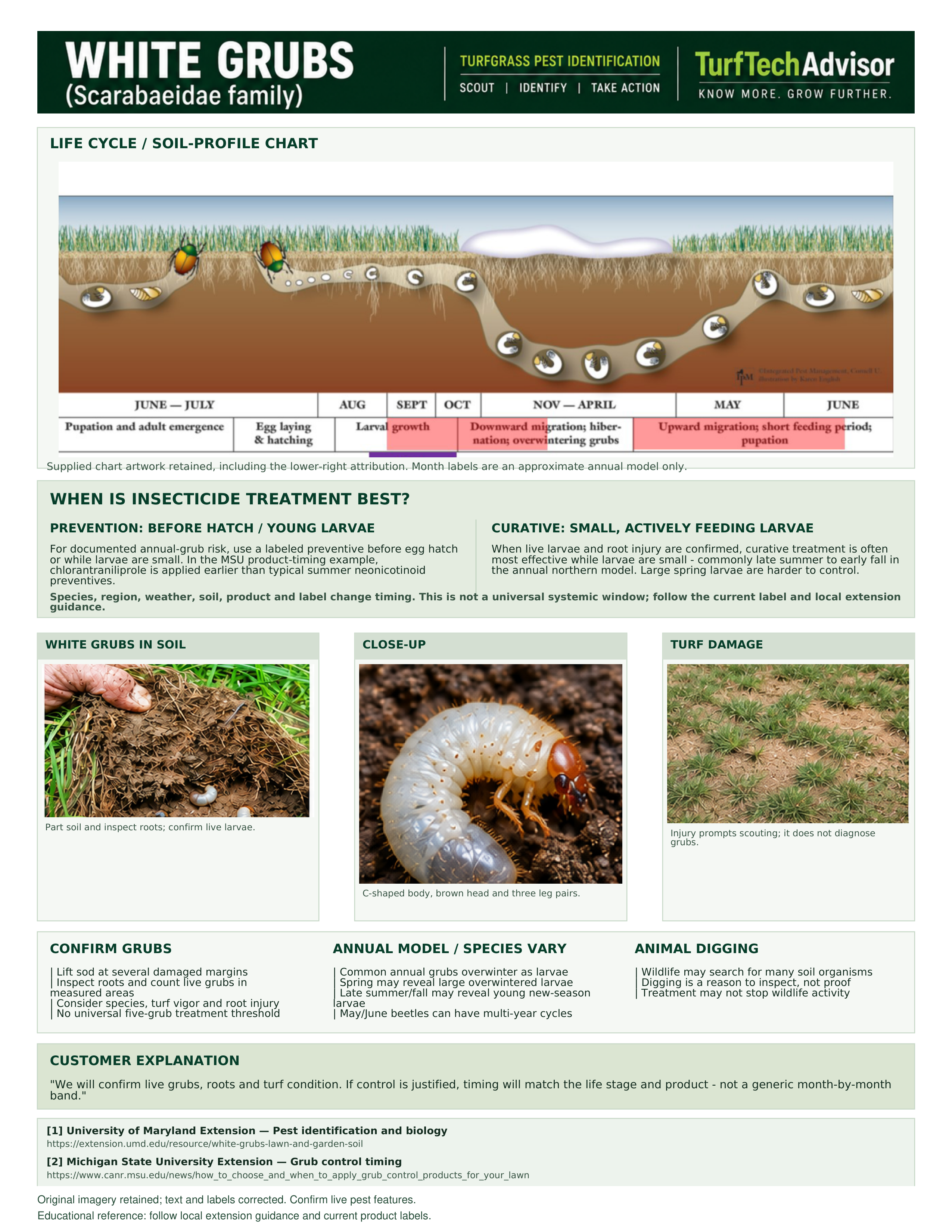 Preview of the TurfTechAdvisor White Grub field guide with life-cycle chart and identification information.